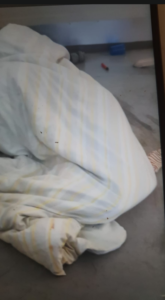 Screenshot 2026-02-12 005544