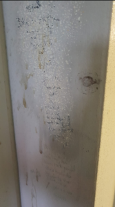 Screenshot 2026-02-12 005619