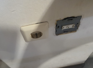 Screenshot 2026-02-12 005655