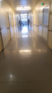 Screenshot 2026-02-12 005713