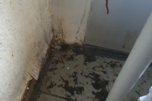 Screenshot 2026-02-12 005731