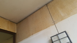 Screenshot 2026-02-12 005743